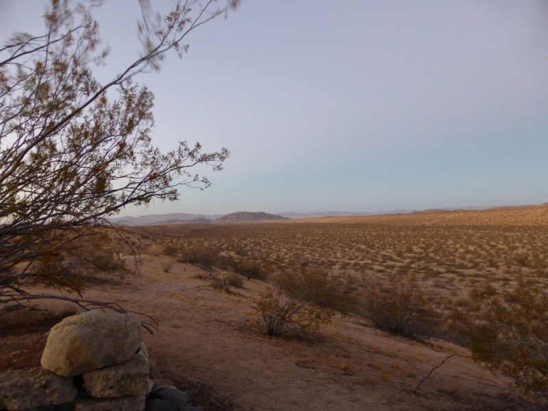yuccavalley1